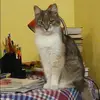 Отзыв от Полина Дубова
